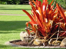 Hawaii &raquo; Maui &raquo; Tropical Plantation